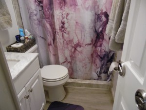 Bathroom with new walk-in shower